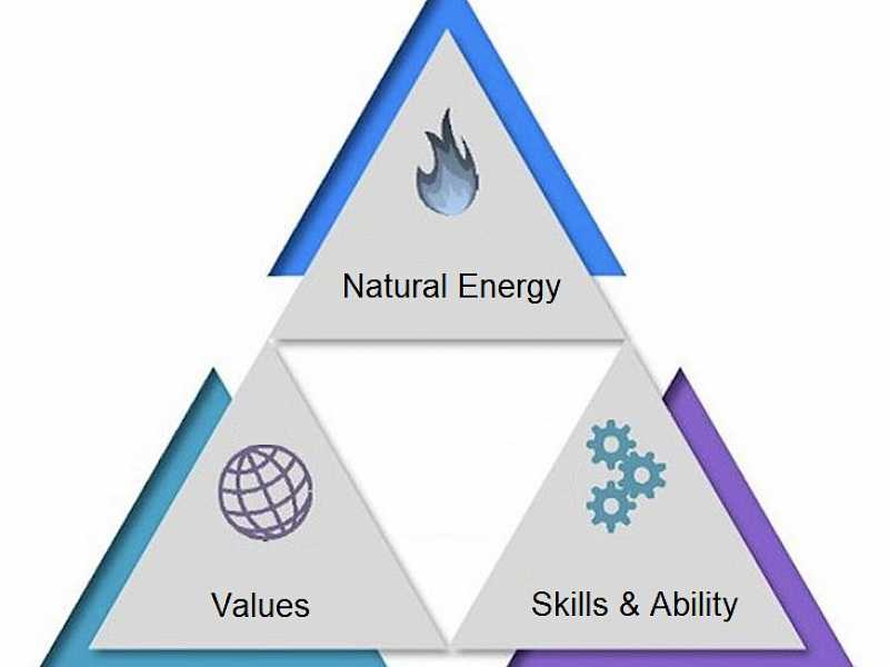 Preview image for blog post entitiled The 3 Pillars of a Successful Hire