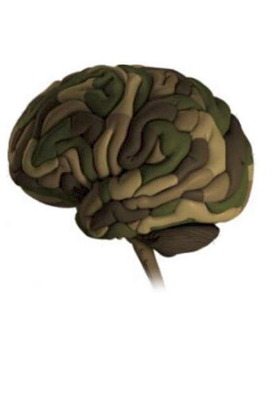 Image for blog post THE MILITARY BRAIN