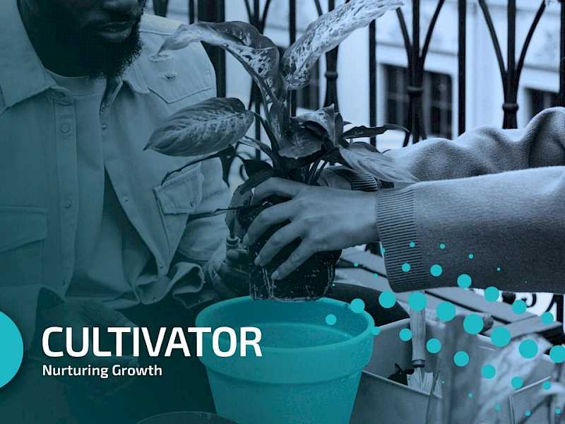 Preview image for blog post entitiled What will a Cultivator bring to your team?