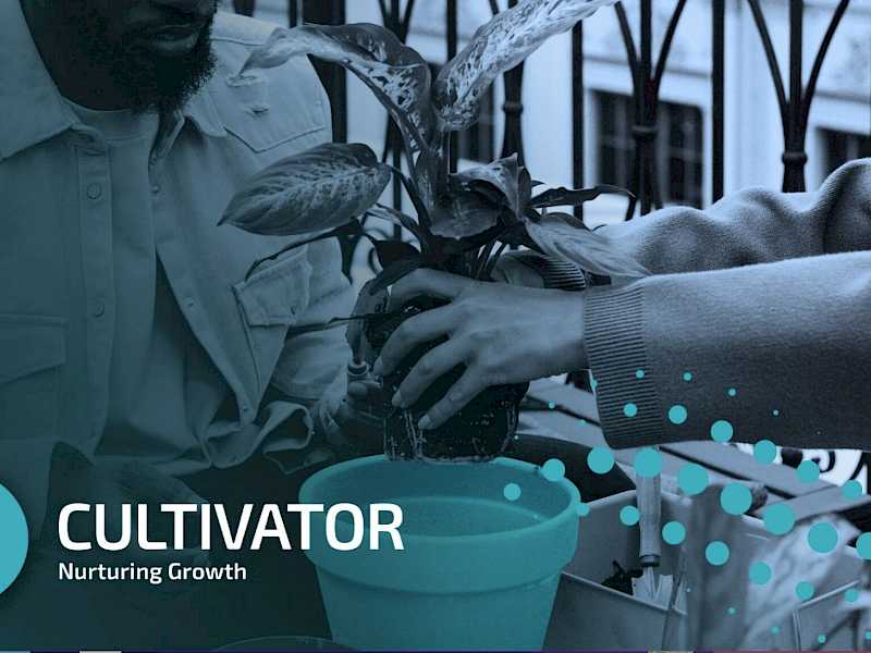 Preview image for blog post entitiled How to Onboard a Cultivator Profile